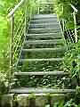 Stairway To Green Heaven 1